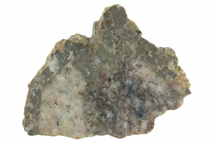 Lunar Meteorite ( g) Slice - Laayoune #360208